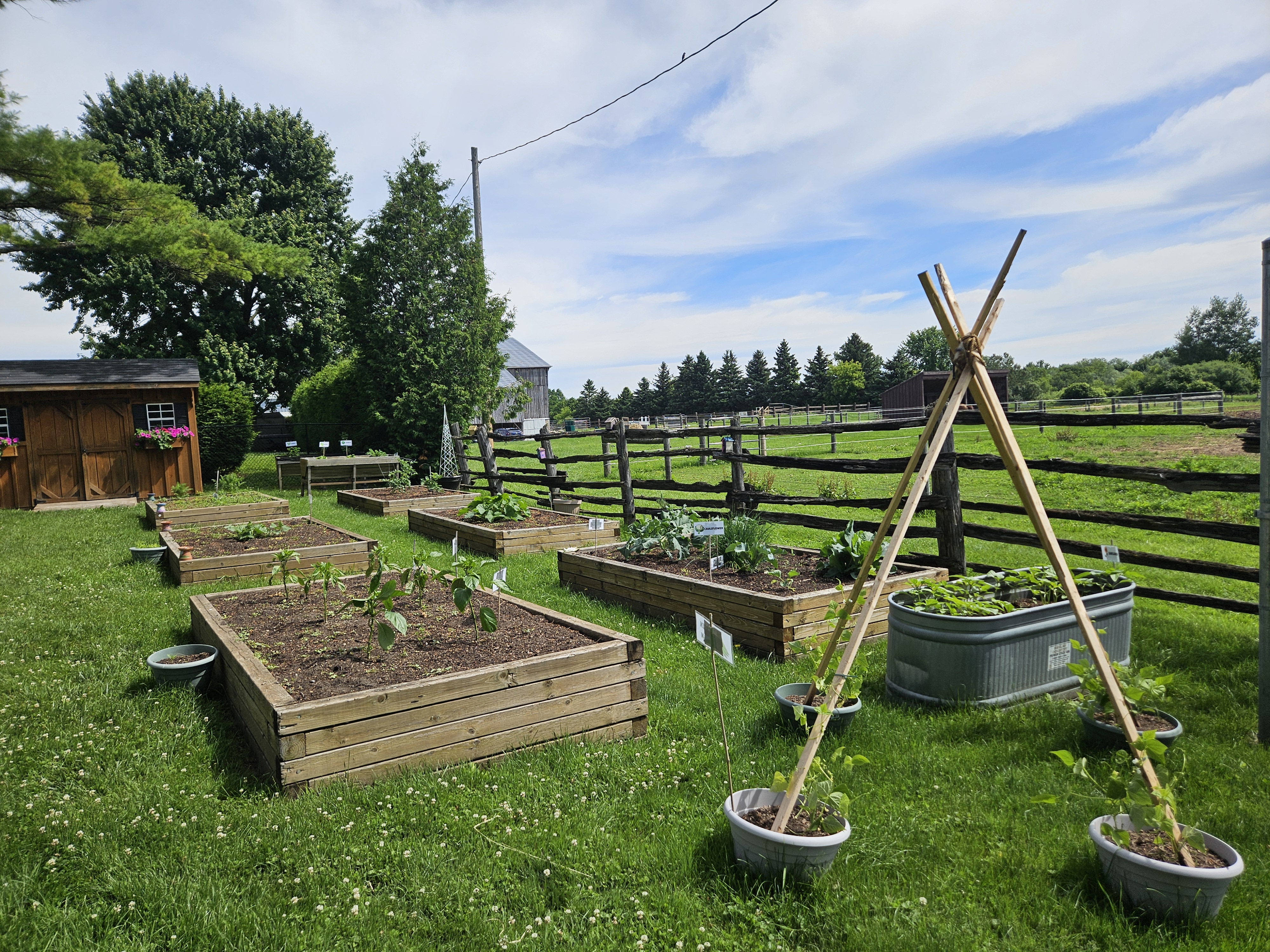 Raised garden beds