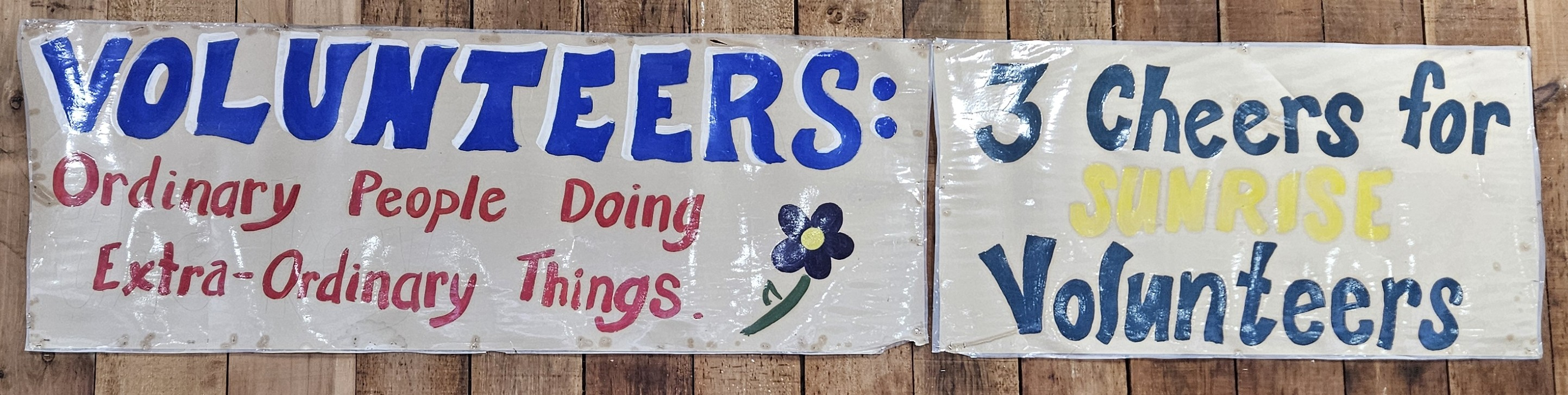 Volunteering at Sunrise