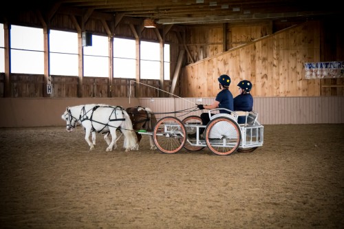 Grooming & Driving Programs
