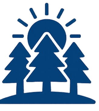 Sunrise Therapy Forest