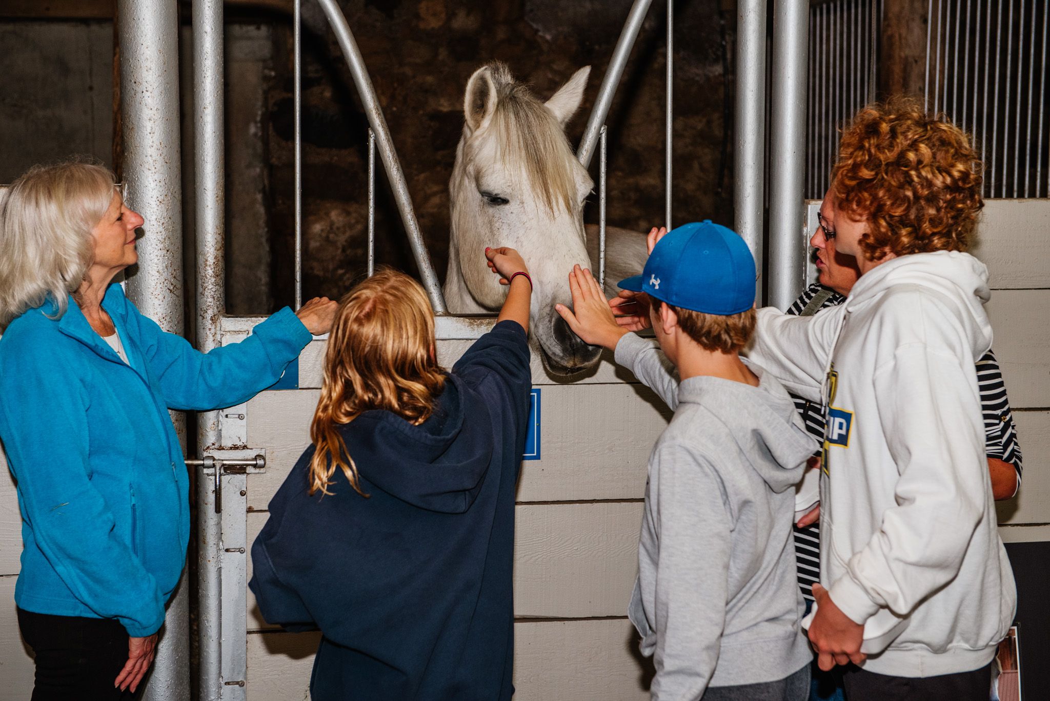 Hike 4 Horses event photo 2