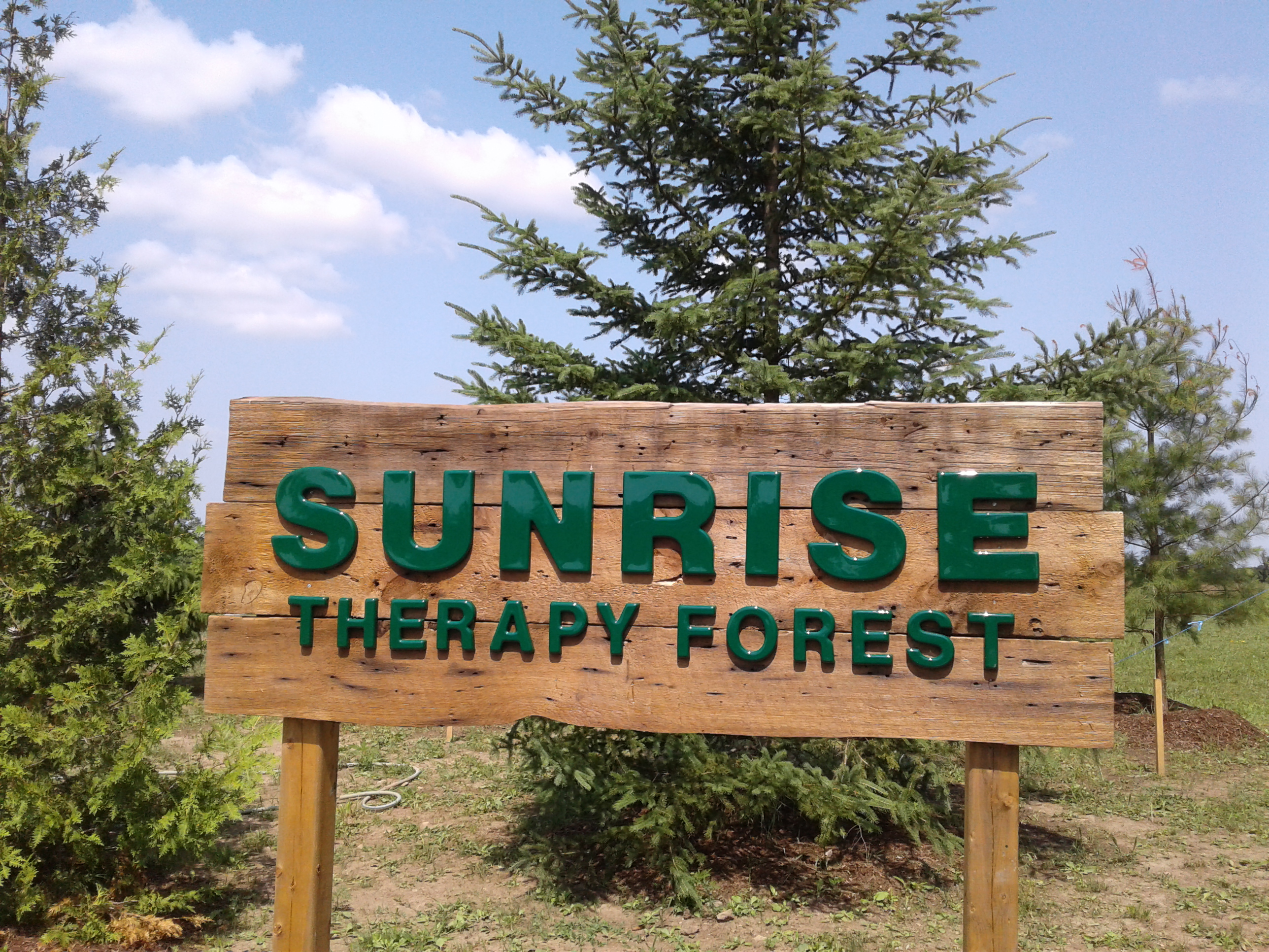 Therapy Forest Sign