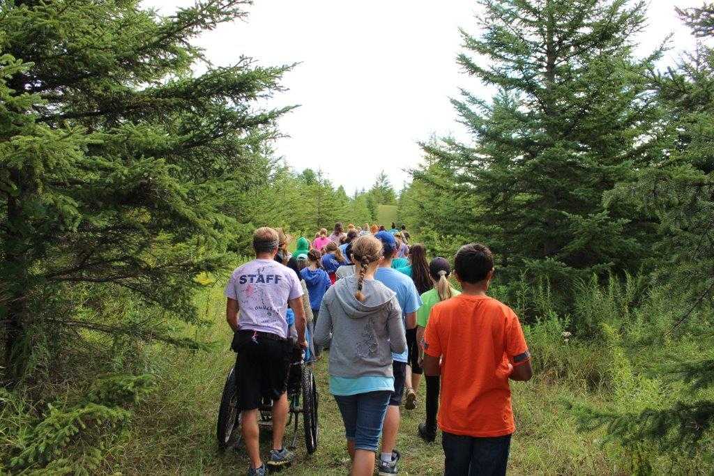 Forest Trail