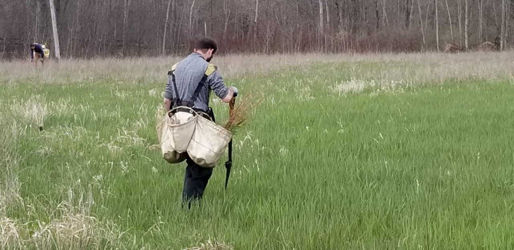 Tree Planting