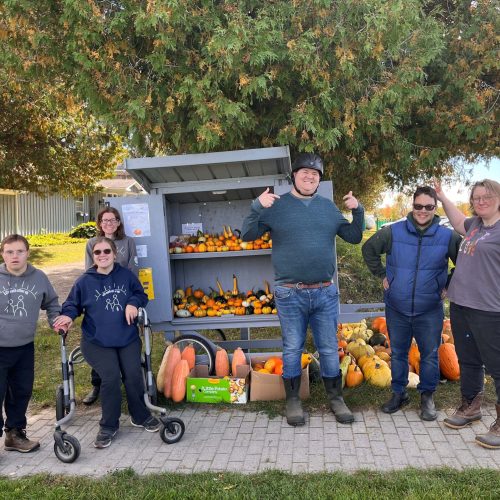 Life Skills with Pumpkins